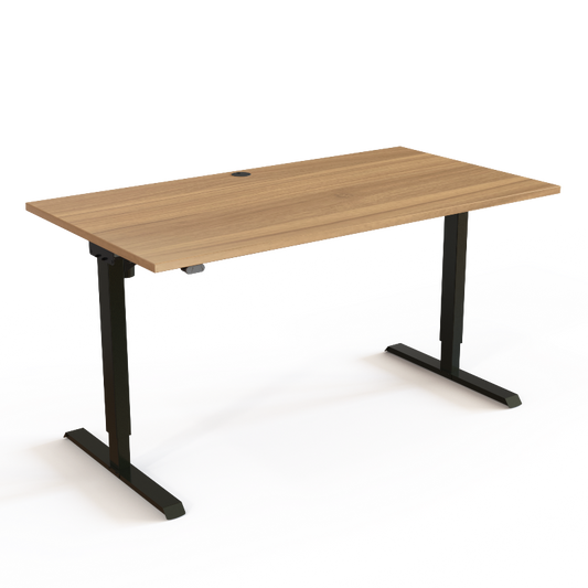 Electric Adjustable Standing Desk 501-20 with Slim Nordic Design for Home Office